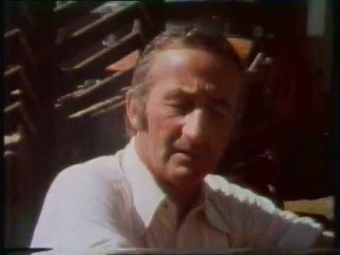 Scotch Notch - Australia's Top Trotting Mare of the 1980s