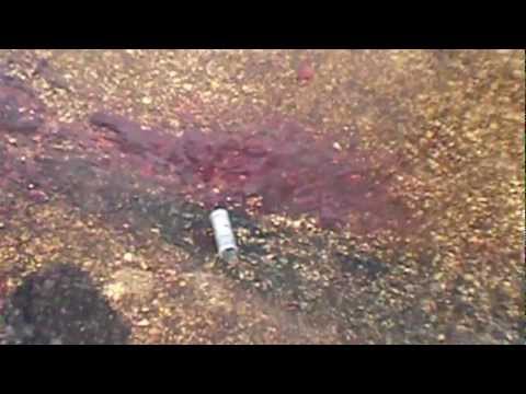 آثار دماء المتظاهرين بعد اتسهدافهم من قبل مصفحة لقوات النظام واستهداقها من قبل كتيبة عبد الله بن الزبير في حماة