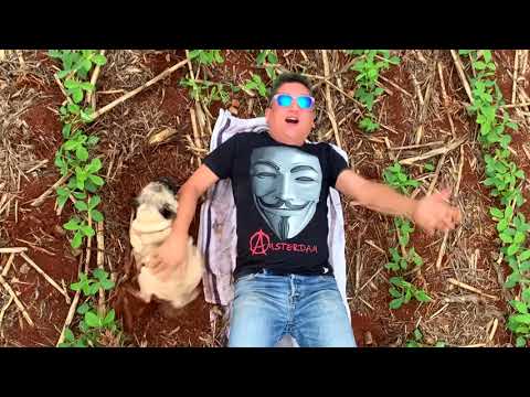 ASSIM NÃO PODE  (PARÓDIA ELA ME FALOU QUE QUER RAVE)