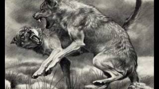 The Wolves-Bon Iver (with Lyrics)