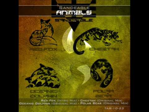 Sandeagle - Oceanic Dolphin (Original Mix)