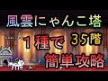 風雲にゃんこ塔35階 １種で簡単攻略【にゃんこ大戦争 the battle cats】