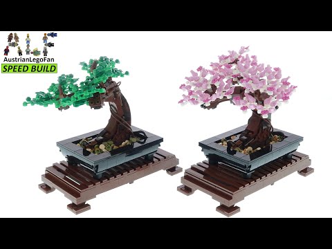 Vidéo LEGO Creator 10281 : Bonsaï