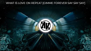 David Guetta vs Haddaway - What is Love On Repeat (Adam Kancerski Mashup)