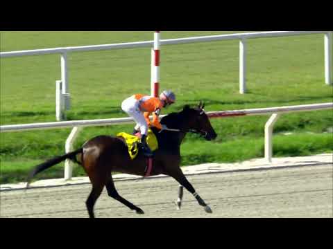 220219 c03 - 1° NUEVAVENTURA - HIPODROMO DE MAROÑAS