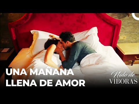 Nagme Y Ejder Se Quedarán En Hotel - Nido De Víboras Capitulo 11 (Dobladas en Español)