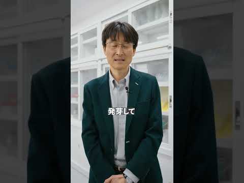 教員紹介② 【亀山 慶晃 教授】 #shorts #東京農業大学 #地域創成科学科