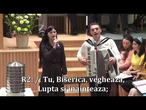 Familia Asimionese - Tu strajer ce stai pe stanca  - Elim Bruxelles