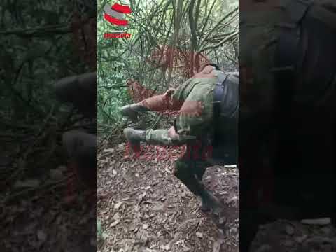 Soldados piden ayuda en Catatumbo: videos evidenciarían  presunta falta de evacuación médica