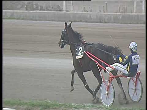 Trotto 02/02/2018 - 2ª corsa