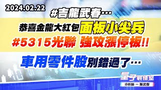 【量子戰情室】#陳武傑0222 #吉龍武春…恭喜金龍大紅包【面板小尖兵】#5315光聯 強攻漲停板!! 車用零件股別錯過了… (圖)