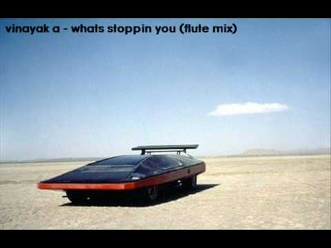 Vinayak A -  Whats Stoppin You [Flute Mix]