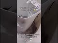 Washing Machine Got Too Excited