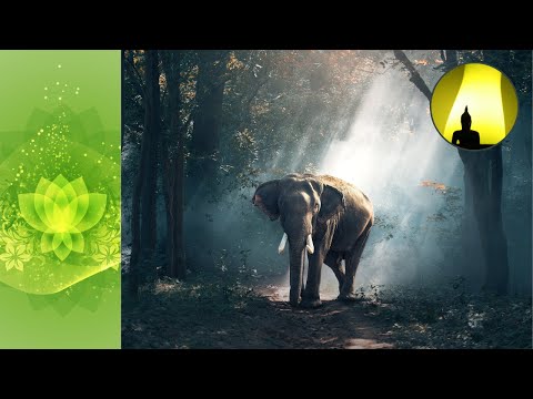 Oliver Shanti - Tales From The Heart Of Chuang Tzu (1 hour mix) meditation, relaxation, yoga.