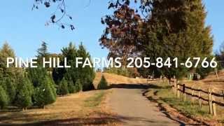 preview picture of video 'Pine Hill Farms'