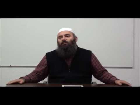 Ja si Shejh Albani filloi të miret me hadithe - Hoxhë Bekir Halimi