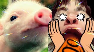 豚は僕の、魂だぁぁぁぁッ！！！！