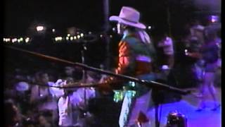 Bibi Gaytan, Libros Tontos (Junto a Bronco)