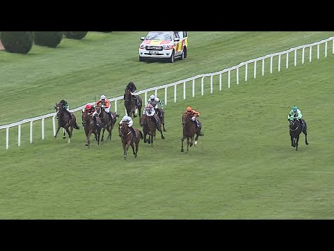 Koně a sport 2025: Letní dostihový den v Chuchle Areně Praha