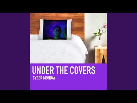 I've Never Seen Your Face (Original Mix)