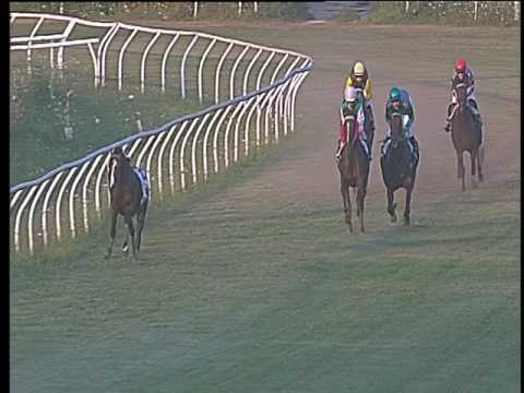 Galoppo 19/07/2017 - 4ª corsa