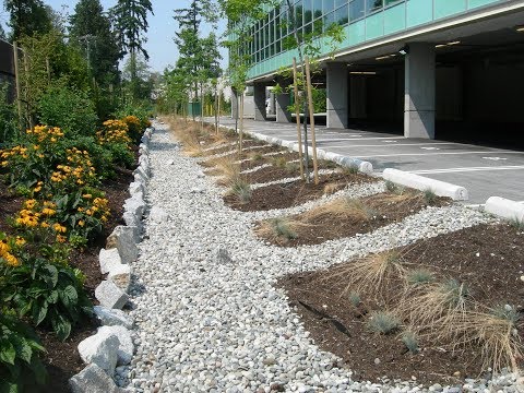 Innovative Stormwater Management at the Property Scale