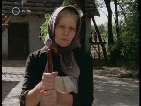 Hun van a szabo bakter?