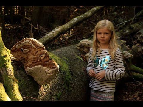 LENE UND DIE GEISTER DES WALDES - Offizieller Trailer