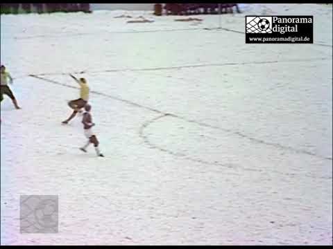 Von Fans für Fans: BSG Wismut Aue - Frank Stein - Unsere Torschützen jetzt auf DVD!