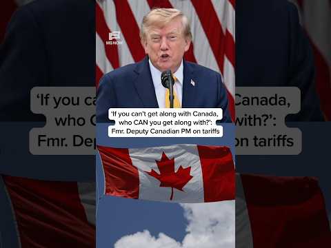 'If you can't get along with Canada, who CAN you get along with?' Fmr. Deputy Canadian PM on tariffs