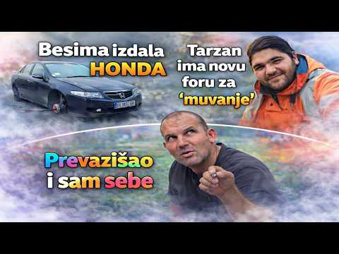 Kafe Zale:Gile i lepa devojka,Taki prica pet jezika,muva udate... #kafezale