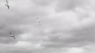 Bill Fay - something else ahead