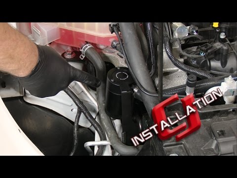 Fiesta ST Mishimoto Oil Separator Black 2014-2016 Installation