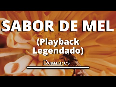 Sabor de Mel - Damares (playback legendado original)