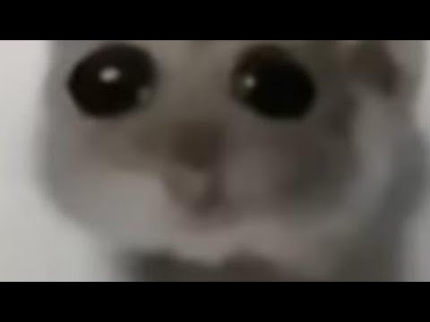 Fallout shelter Save Editor : Fallout shelter сохранение Изменить!