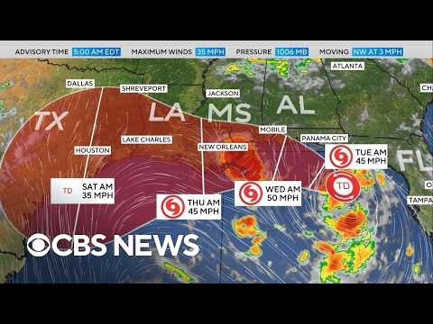 Tropical Storm Bertha forms off Gulf Coast