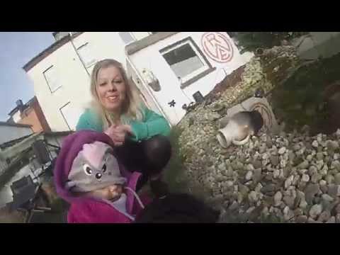 GoPro 3 auf einem Mops