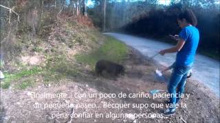 La Historia de Bécquer La Historia de Bécquer