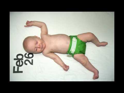One Year In The Life Of Baby In Two Minutes