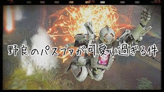 【APEXでもやりますか】野良のパスファが可愛い過ぎる件