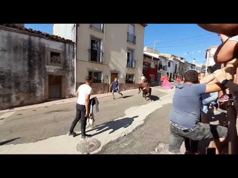 Toro de Cajón en Villarino de los Aires