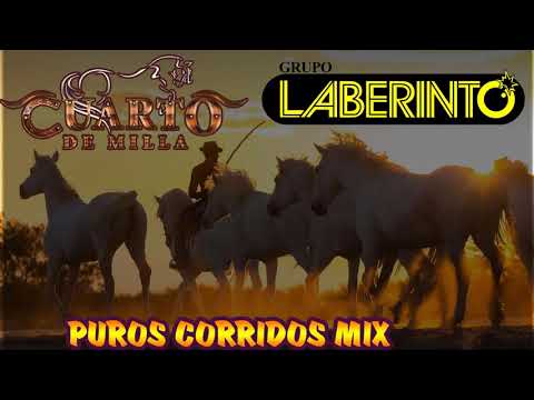Grupo Cuarto de Milla Ft Grupo Laberinto Exitos Mix ~ Corridos De Caballos