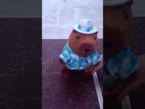 Мягкая интерактивная игрушка Капибара 30 см ходит, танцует, поет, повторяет голос, в шляпе, арт. C1142 - фото 1 - id-p2863650119