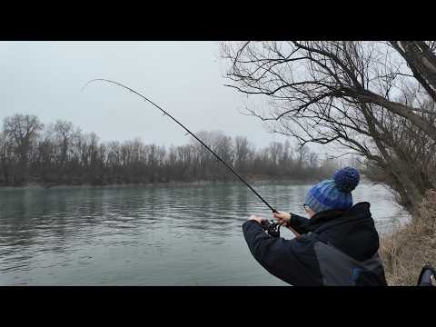 Nešto je VELIKO zagrizlo na FEEDER!!