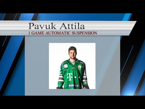 DC 015 EL 119 27 51 - Pavuk Attila