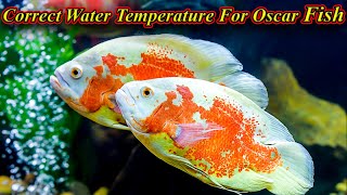 Oscar மீனுக்கு சரியான நீர் வெப்பநிலை என்ன?  correct water temperature Problems / Fish Aquarium Tamil