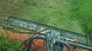 Cerberus land with Verge/flail Mower at Bramley