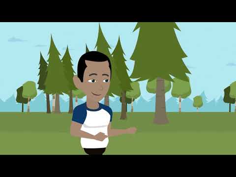 Öko Garten: Wer wir sind & unsere Mission