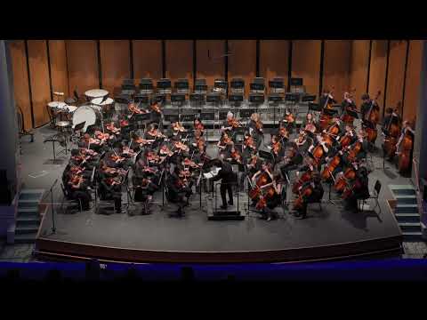 Pirattitude | Samohi Orchestras