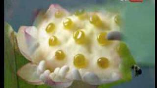 Anonimo Veneziano - Rondo Veneciano (instrumental).flv